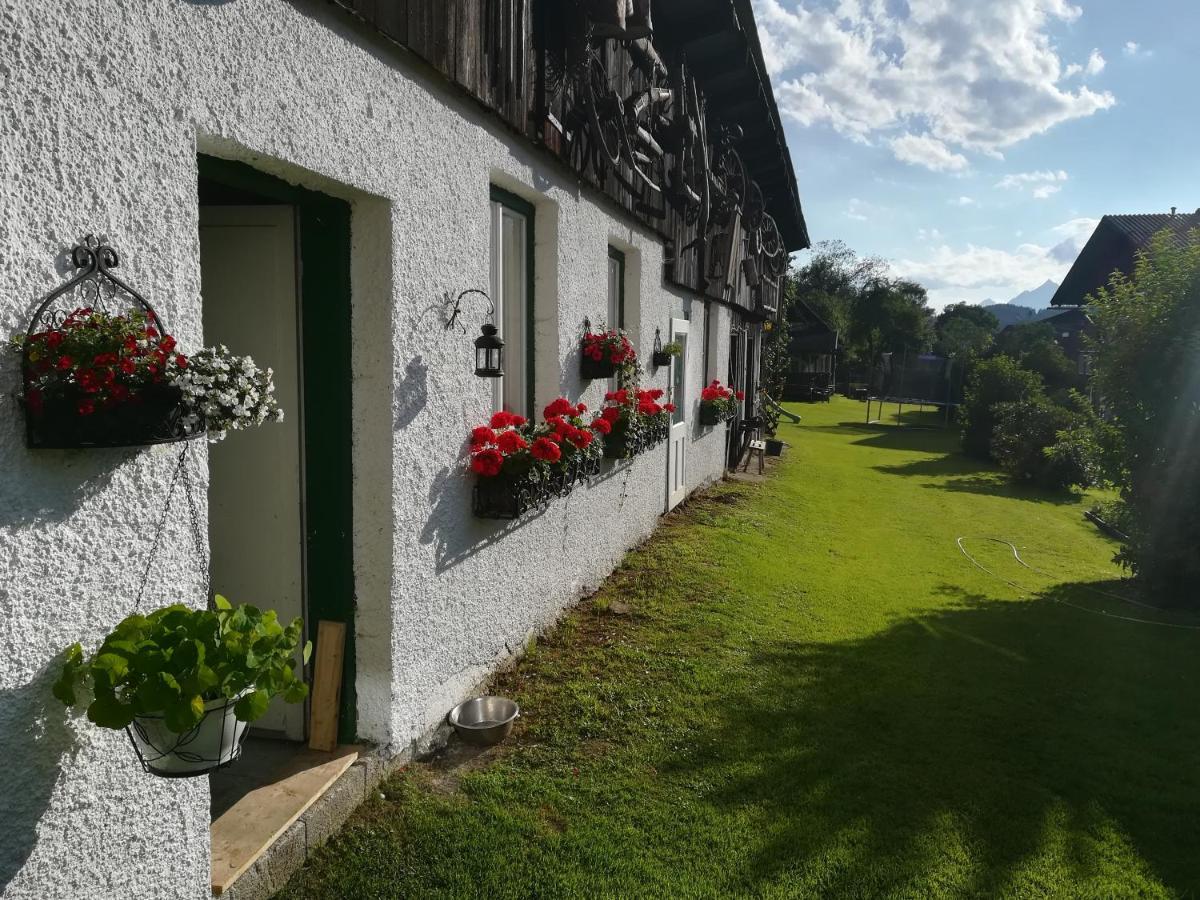 Haus Elisabeth Bed and Breakfast Aigen im Ennstal Buitenkant foto